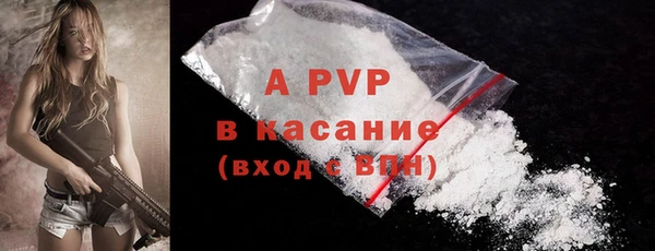 Альфа ПВП Горнозаводск