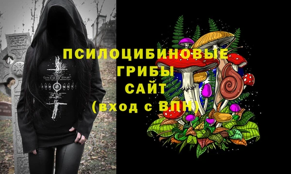 Альфа ПВП Горнозаводск