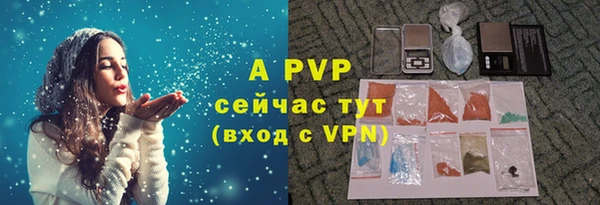 молекула духа Горняк
