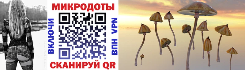 наркота  KRAKEN зеркало  Галлюциногенные грибы Psilocybe  Игра 